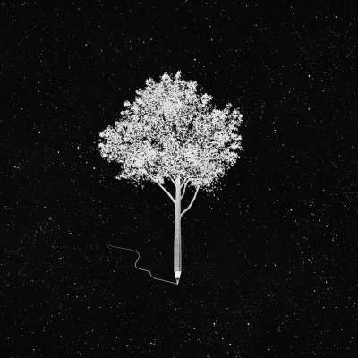 树 钢笔 宇宙 写 星星 繁星点点 星系 空间 夜晚 黑暗的