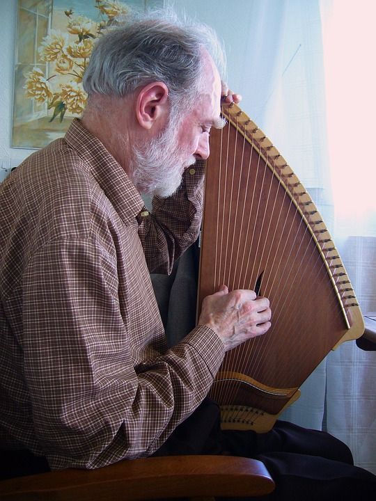 Kantele 音乐家 弦乐器 音乐 字符串 老人