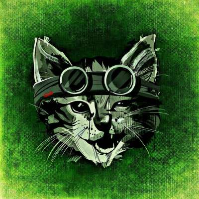 猫 荒野 凉爽的 抽象的 乐趣 眼镜 有创造力的