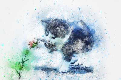 猫 基蒂 动物 艺术 抽象 水彩 优质的 自然 T恤 艺术的