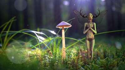 幻想 森林 精灵 光 草叶 神秘 气氛 童话 神秘主义 女孩