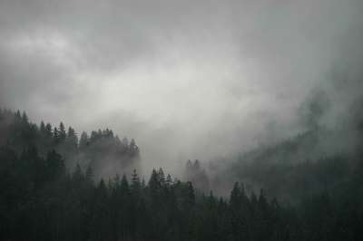 大自然壁纸 自然壁纸 高清壁纸 森林 自然 墙纸 山 多雾路段