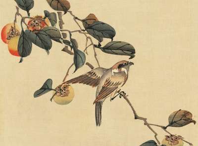 优质的 日本人 水彩 绘画 老式的 古董 自然 荒野 野生动物
