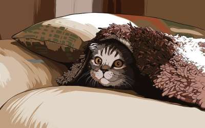 猫 小猫 可爱的 宠物 毯子 甜的 基蒂 小的 动物 棕色猫