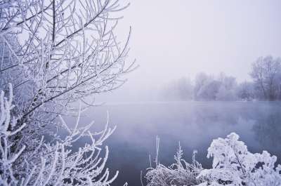 冬天 水 树木 雪 植被 霜 多雾路段 背景 蓝色背景