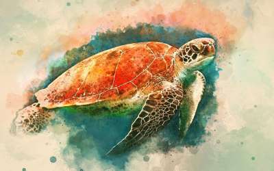水彩 绘画 艺术 影响 丰富多彩的 打印 艺术的 纸 有创造力的