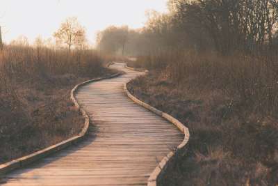 小路 湿地 户外 木板 草 景观 长满草的 木制的路径 自然