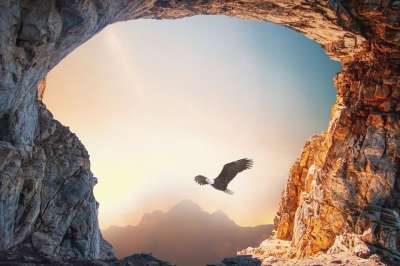 鹰 洞穴 日落 景观 山 石头 云 天空 鸟 自然 飞行