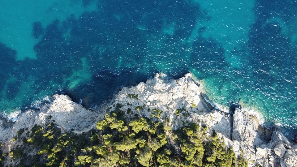 海, 悬崖, 海岸, 树木, 森林, 自然, 景观, 背景, 水, 夏天