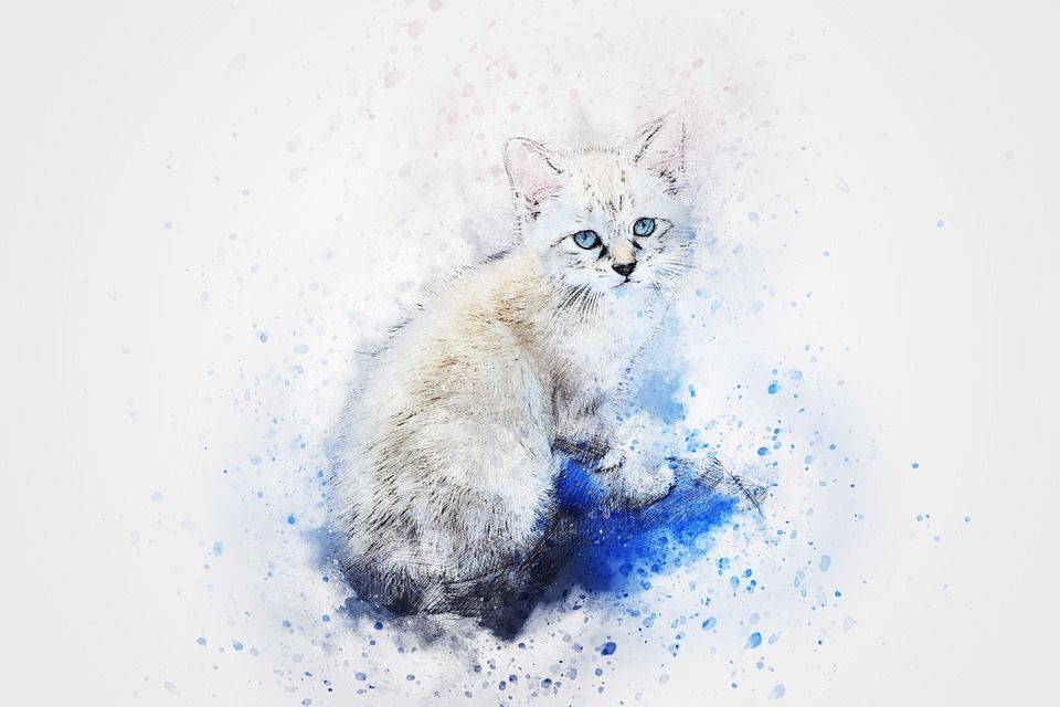 猫, 动物, 艺术, 抽象, 水彩, 优质的, 浪漫的, 感情, 艺术的, T恤