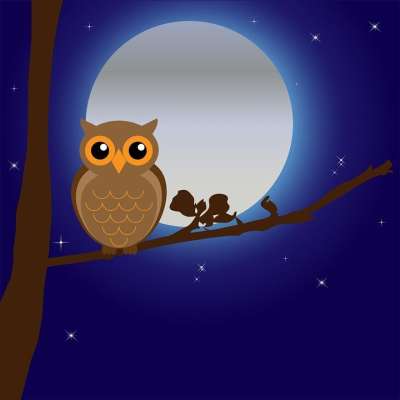 猫头鹰 鸟 动物 树 枝杈 夜晚 月亮 月光 艺术 可爱的