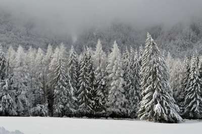 冬天 场景 山 仙境 森林 寒冷的 户外的 日落 雪 假期