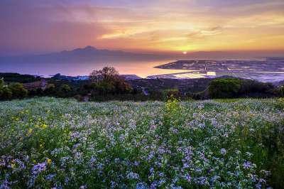 自恋者山 日本 熊本 日落 强奸的花朵 河内町 云 天空 夜景