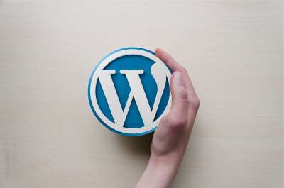Wordpress的 手 标识 背景图像 写博客 象征 图标 设计