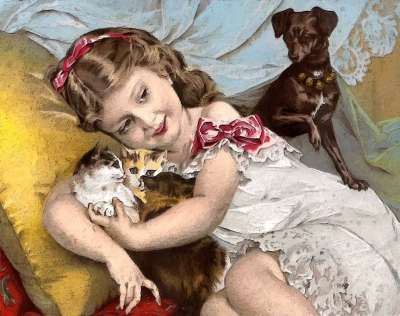 我的小美眉 宠物 猫 狗 小猫 可爱的 女孩 年轻 孩子