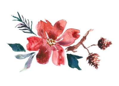 花的 花 设计 艺术 水彩 草图 植物 自然 画画 花 花