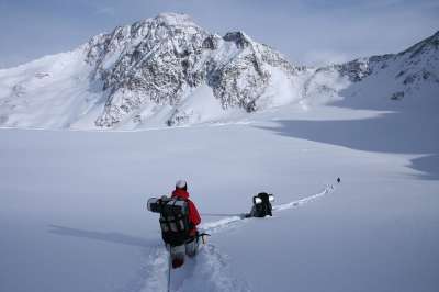 冬季远足 雪山 阿尔卑斯山 远足 野猪 偏远 隔离 自由 粉雪