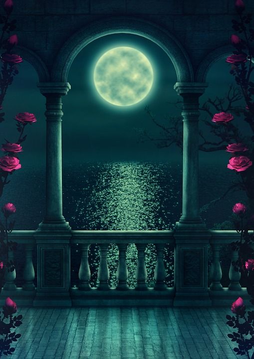 幻想 阳台 月亮 浪漫的 树 月光 金库 古董 童话 海