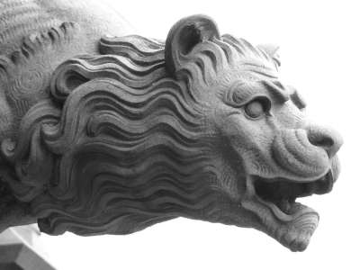 石像鬼 狮子 神秘生物 水 排水 石头 明斯特 乌尔姆