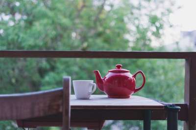 茶 热的 咖啡 杯子 马克杯 表 爱 寒意 放松 早餐 早晨