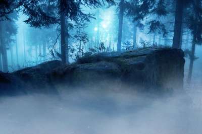 景观 幻想 森林 夜 雾 神秘 超现实的 夜 夜 夜 夜