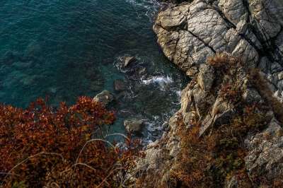海 波浪 岩石 水 自然 森林