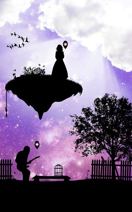 女士 男人 鸟类 星空 背景图片 故事 树 栅栏 银行 鸟笼
