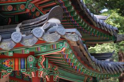 昌德宫 宫 花园 景观 韩国 春天 自然 汉城 寺庙 屋顶