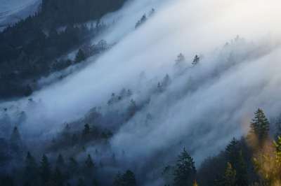 大自然壁纸 自然壁纸 高清壁纸 多雾路段 自然 荒野