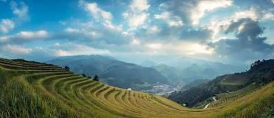 农业 绿色 白饭 亚洲 巴厘岛 柬埔寨 胜利 中国 县 曲线