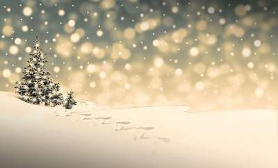 雪 冬天 圣诞节的时候 寒冷的 圣诞节的主题 雪花 降雪 圣诞晚会