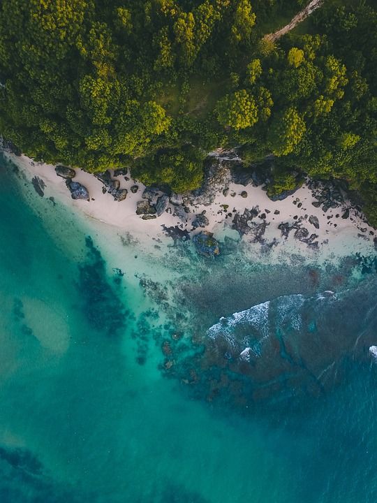 水 旅行 海洋 自然 海滩 景观 热带 海景 支撑 沙 旅游