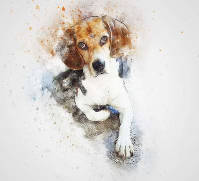 狗 比格犬 宠物 艺术 抽象 水彩 优质的 丰富多彩的 动物