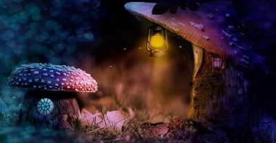 蘑菇 汽灯 幻想 童话故事 儿童故事 飞木耳 菌 花园 神奇