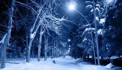 夜晚 雪 弗罗斯特 寒冷的 树木 霜城 城市 冻结 俄罗斯
