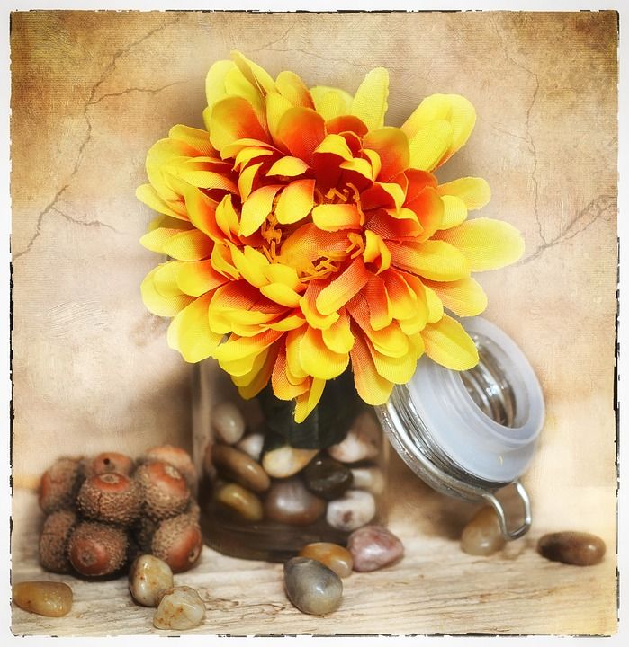 花 人造花 面料花卉 开花 黄色 玻璃 装饰玻璃 玻璃瓶 石头