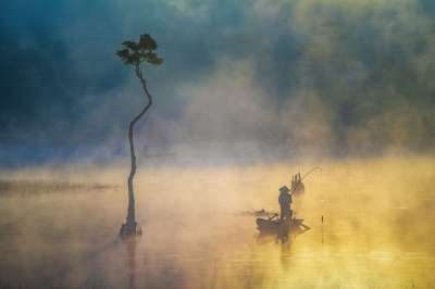 渔夫 船 湖 多雾路段 日出 树 清晨 自然 景观 蒙蒙