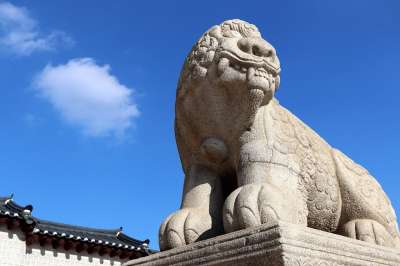 景福宫 大韩民国 传统 老虎 汉城 韩国 孵化 雕塑 雕像