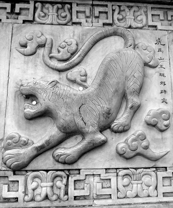 阴 老虎 象征 道教 亚洲人 中国人 中国哲学