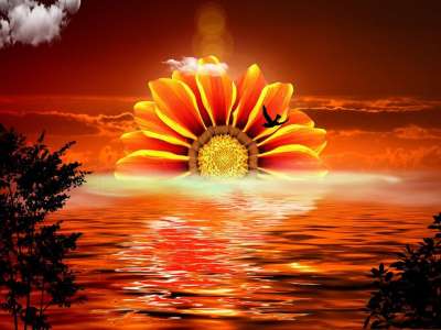 形象的 太阳 日落 天堂 晚上的气氛 自然 海 水 太阳和大海