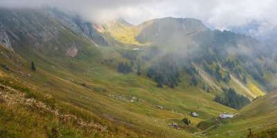 山 自然 景观 阿尔卑斯山 草原 谷 下沉 多雾路段 落下
