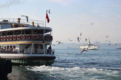 船 海洋 城市 海 海鸥 鸟类 天空 景观 伊斯坦布尔 火鸡