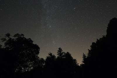 夜空 星空 森林 夜晚 轮廓