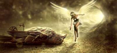 幻想 鸟 死亡 天使 精灵 仙女 隧道 光 麻雀 极好的