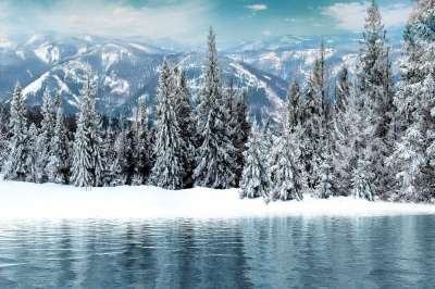 景观 湖 山 冷杉 雪 亲爱的 云