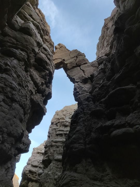 沙漠 景观 土路 沙 自然 风景秀丽的 热的 仙人掌 美国