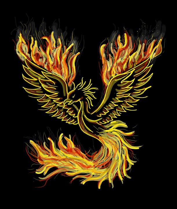 凤凰 鸟 火 火红 摇摆 极好的 神话中的鸟