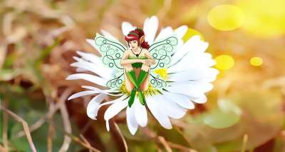 花 仙女 雏菊 开花 白色的 幻想人物 幻想 梦境 梦幻之地