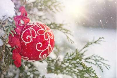 圣诞节 装饰品 红色的 雪 树 下雪的 冬天 冬日 文本空间