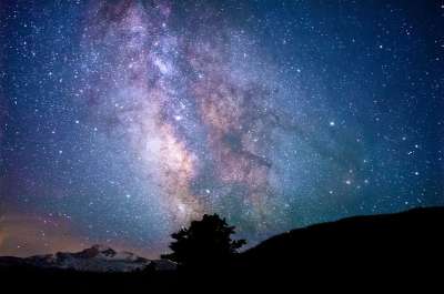 自然 天空 夜晚 星星 星座 光 树木 家伙 男人 人们